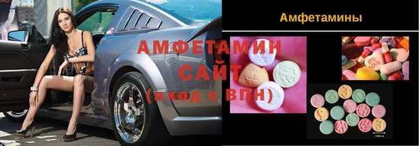 индика Бугульма