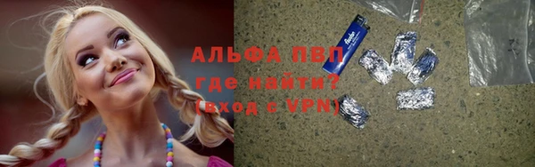 индика Бугульма