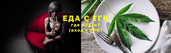 индика Бугульма