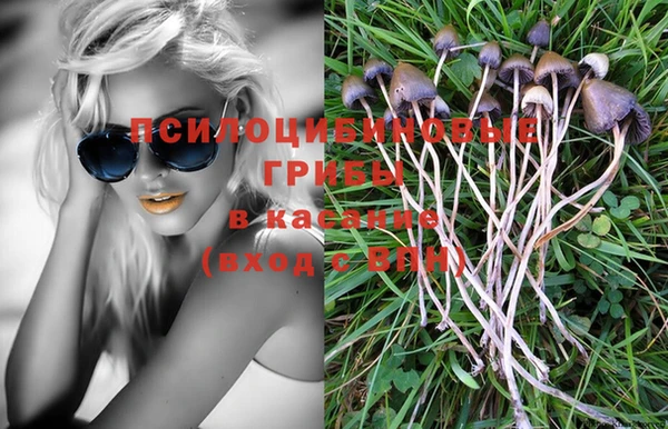 МДМА Бородино