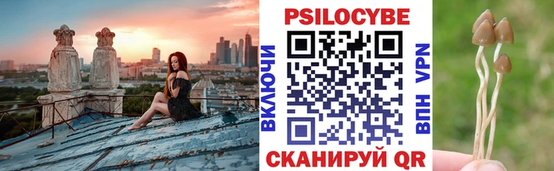 Псилоцибиновые грибы прущие грибы  Менделеевск 
